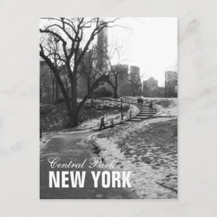 Cartão Postal Black White Central Park Nova York