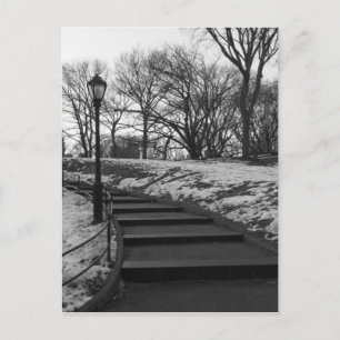 Cartão Postal Black White NY Central Park
