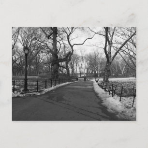 Cartão Postal Black White NY Central Park