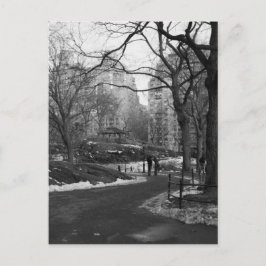 Cartão Postal Black White NY Central Park