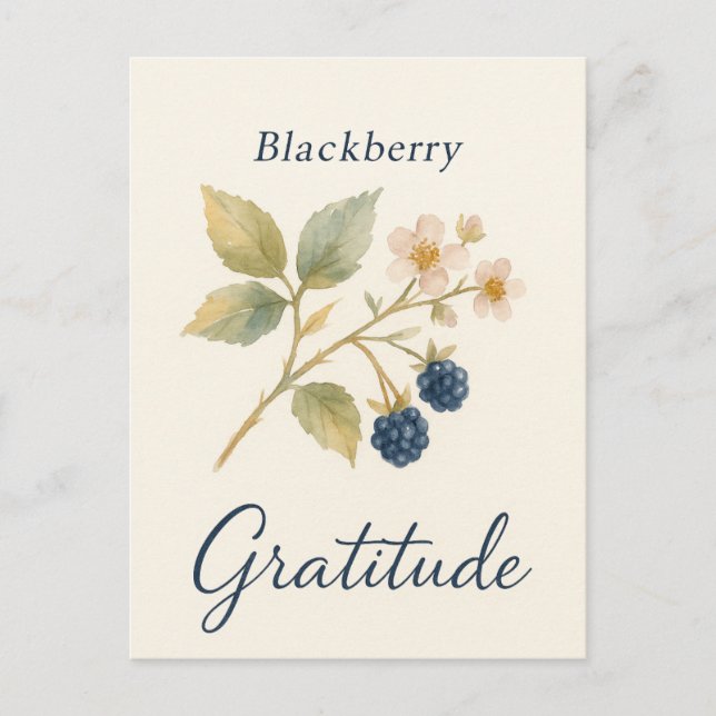 Cartão Postal Blackberry — Gratitude Postcard (Frente)