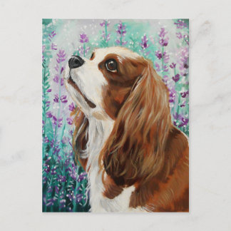Cartão Postal Blenheim Cavalier King Charles Spaniel