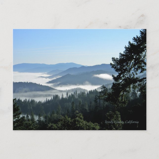 Cartão Postal Bliss de primavera da manhã... (Frente)