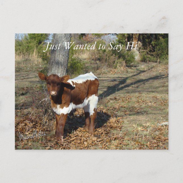 Cartão Postal Bliss - personalizar o cartão-postal (Frente)