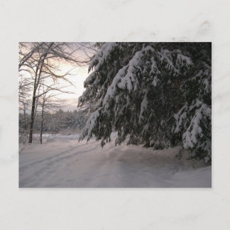 Cartão Postal Blocos de Neve Cobertos