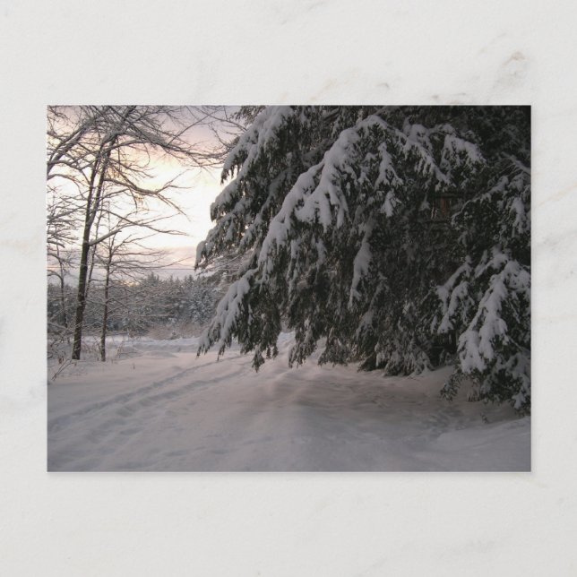 Cartão Postal Blocos de Neve Cobertos (Frente)