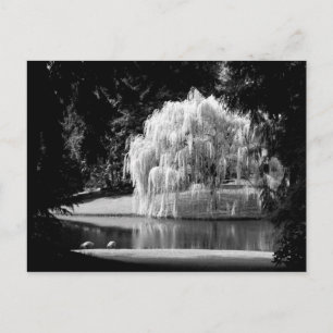 Cartão Postal Bloedel Reserve