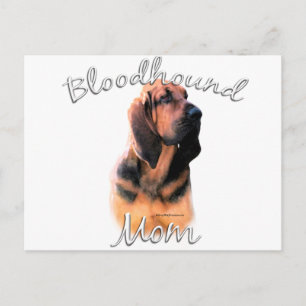 Cartão Postal Bloodhound Mãe 2