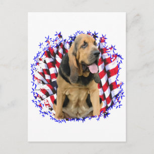 Cartão Postal Bloodhound Patriot