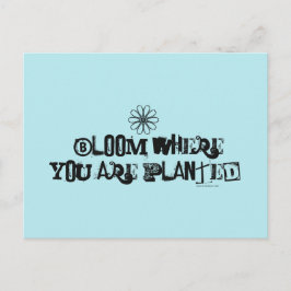 Cartão Postal Bloom onde você está plantado.
