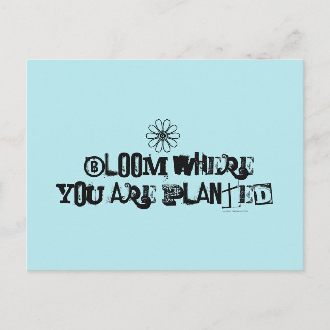 Cartão Postal Bloom onde você está plantado. (Frente)