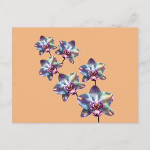 Cartão Postal Bloomias Holográficas de Orquídeas Iridescentes