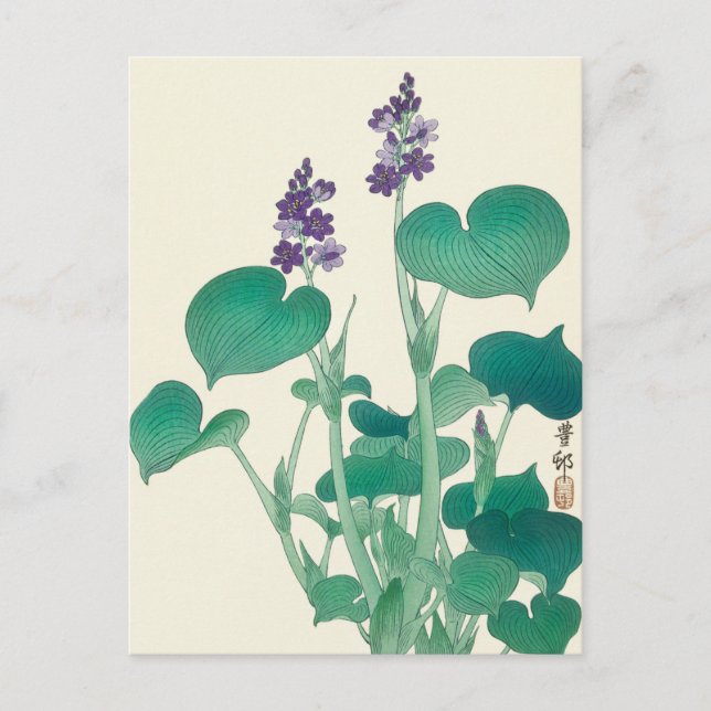 Cartão Postal Blooming Hosta Painting de Ohara Koson (Frente)