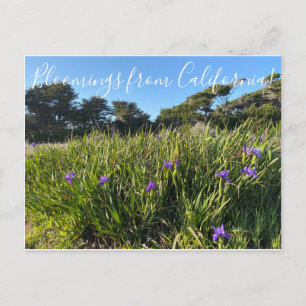 Cartão Postal Bloomings da Califórnia: Costa do Pacífico - Irr