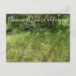 Cartão Postal Bloomings da Califórnia: Lança de Ithuriel