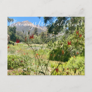 Cartão Postal Bloomings da Califórnia: Western Columbine Postc