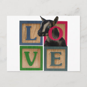 CARTÃO POSTAL BLOQUEIOS AMEM CASA
