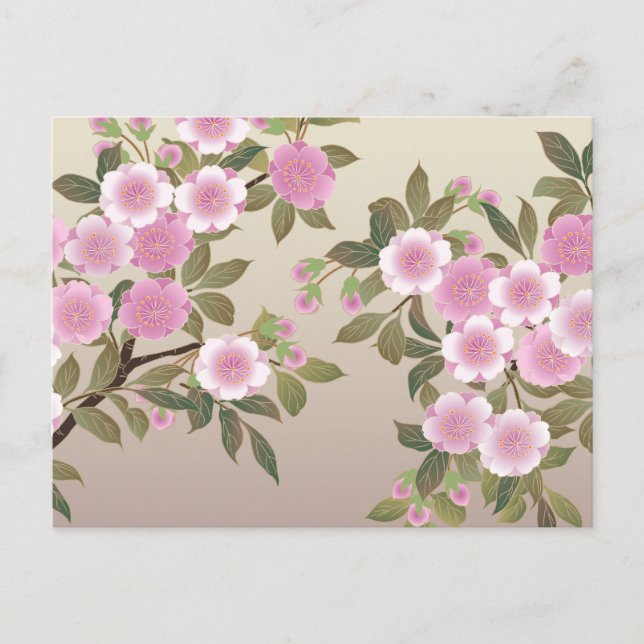 Cartão Postal Blossomas de Cereja Japoneses (Frente)