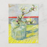 Cartão Postal Blossoming Almond Branch por Vincent van Gogh<br><div class="desc">Blossoming Almond Branch in a Glass, de Vincent van Gogh, é um apos impressionismo de arte vintage que ainda vive uma pintura floral que apresenta galhos florescentes de amêndoas de primavera num vaso de vidro. Sobre o artista: Vincent Willem van Gogh (1853-1890) foi um dos mais famosos pintores Post Impressionistas...</div>