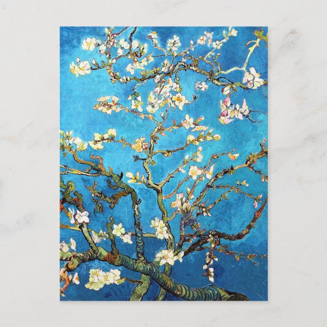 Cartão Postal Blossoming Almond Tree Van Gogh Fine Art (Frente)