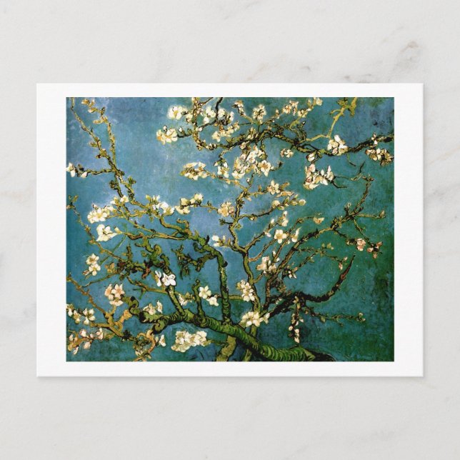 Cartão Postal Blossoming Almond Tree Van Gogh Fine Art (Frente)
