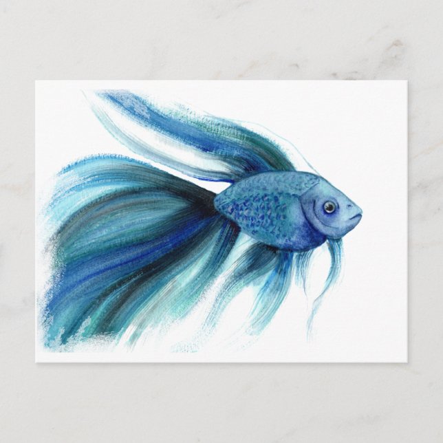Cartão Postal Blue Betta Fish (Frente)