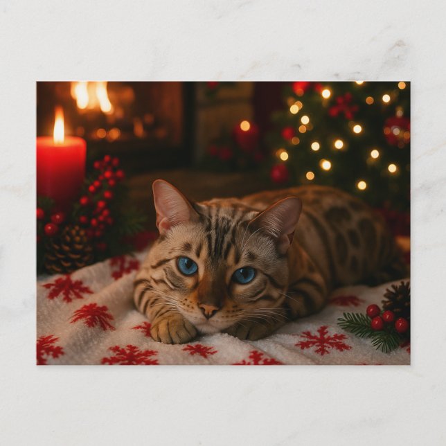 Cartão Postal Blue-Eyed Christmas Cat Postcard Cozy Fireplace (Frente)