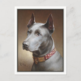 Cartão Postal Blue Great Dane de Carl Reichert