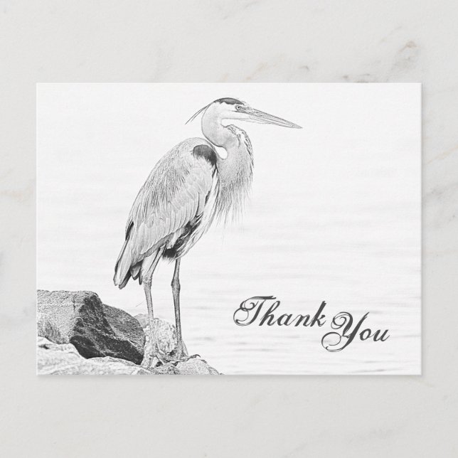 Cartão Postal Blue Heron and Rocks, Water Bird Sketch Obrigado (Frente)