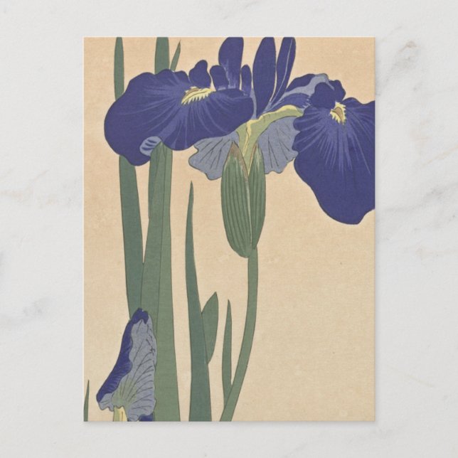 Cartão Postal Blue Irises de Ohara Koson (Frente)