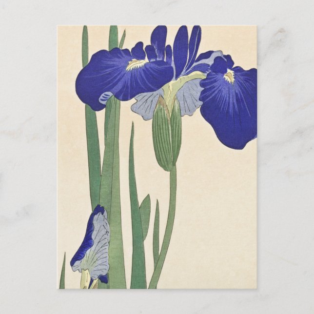 Cartão Postal Blue Irises Painting de Ohara Koson (Frente)