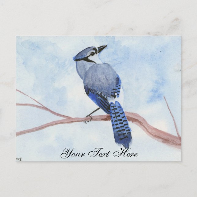Cartão Postal Blue Jay (Frente)