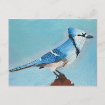 Cartão postal Blue Jay