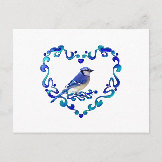 Cartão Postal Blue Jay in Rico Heart (Frente)