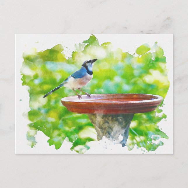 Cartão Postal Blue Jay na aquarela do banho de pássaros (Frente)