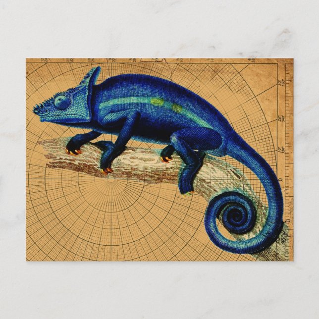 Cartão Postal Blue Lizard (Frente)
