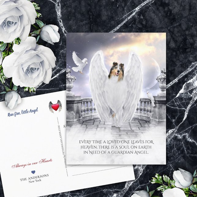 Cartão Postal Blue Merle Collie Angel Heaven - Pet Loss Sympathy (Criador carregado)
