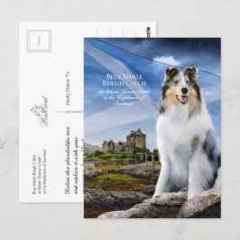 Cartão Postal Blue Merle Collie, Eilean Donan & Scottish Flag -