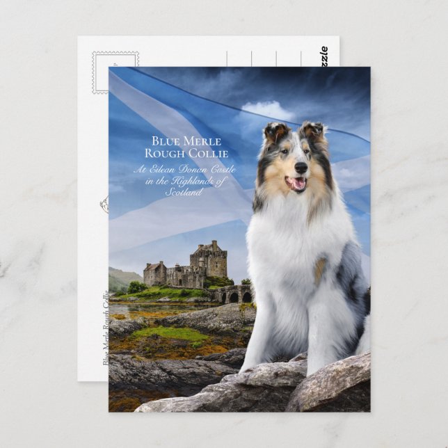 Cartão Postal Blue Merle Collie, Eilean Donan & Scottish Flag - (Frente/Verso)