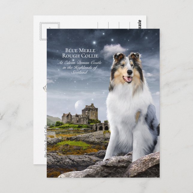 Cartão Postal Blue Merle Rough Collie no Castelo Eilean Donan - (Frente/Verso)
