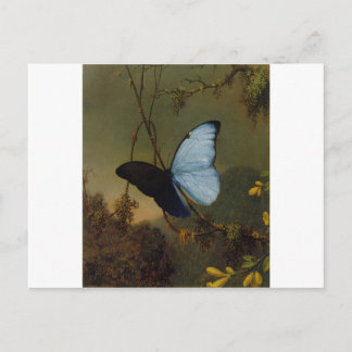 Cartão Postal Blue Morpho Butterfly 1865 Primavera Personalize A