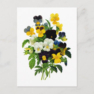 Cartão Postal Blue Purple and Yellow Pansies By Redoute
