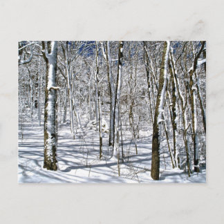 Cartão Postal Blue Ridge Mountain Magic sob uma espiral de inver
