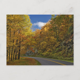 Cartão Postal Blue Ridge Parkway curvando através das cores de o