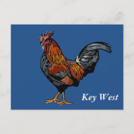 Cartão Postal Blue Rooster Key West Post Card