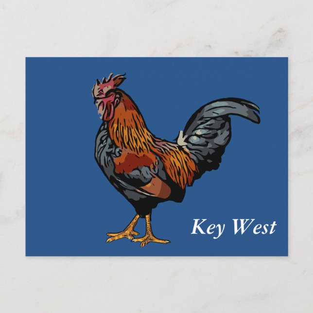 Cartão Postal Blue Rooster Key West Post Card (Frente)