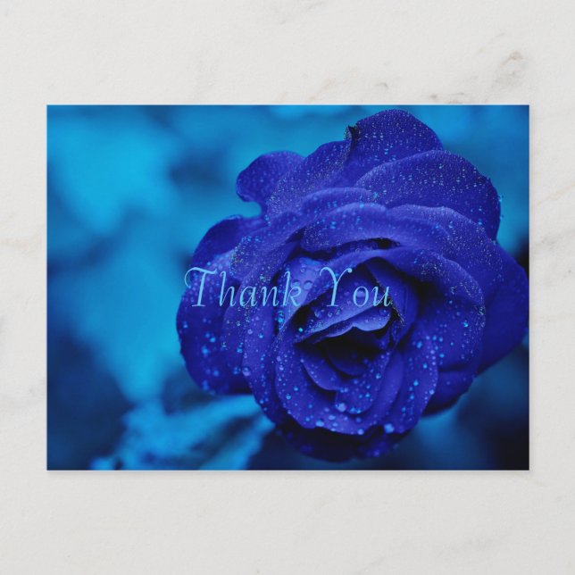 Cartão Postal Blue Rose Obrigado (Frente)