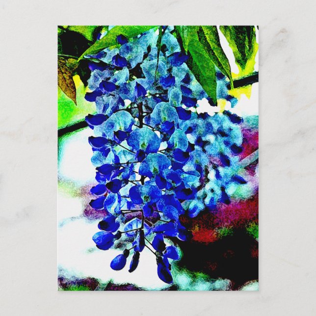 Cartão Postal Blue Wisteria (Frente)