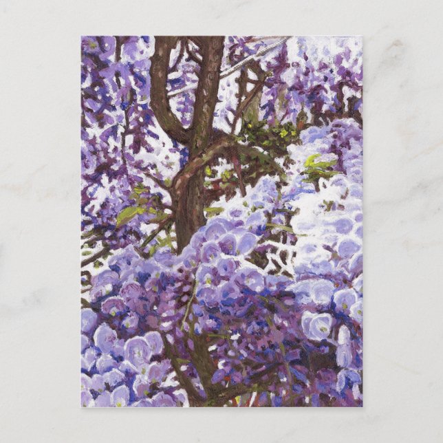 Cartão Postal Blue wisteria 2011 (Frente)