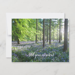 Cartão Postal Bluebell Woods no amanhecer à noite - Personalizad
